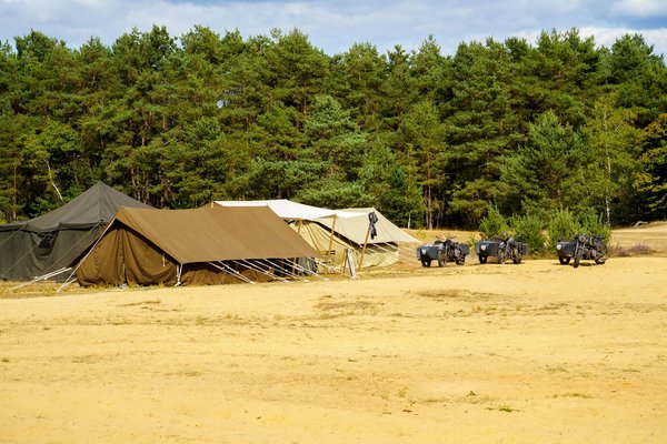 Quels sont les meilleurs spots pour la plongée avec les requins-baleines aux Philippines?