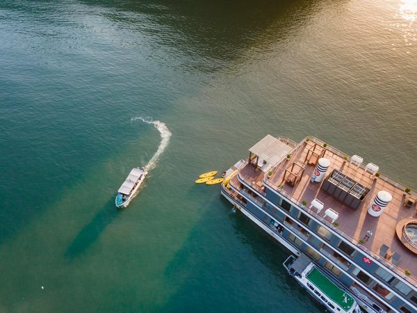 Quels sont les secrets pour une randonnée réussie dans la forêt amazonienne, Brésil : équipements et itinéraires ?